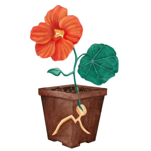 Rendez vous chez PauPouss'