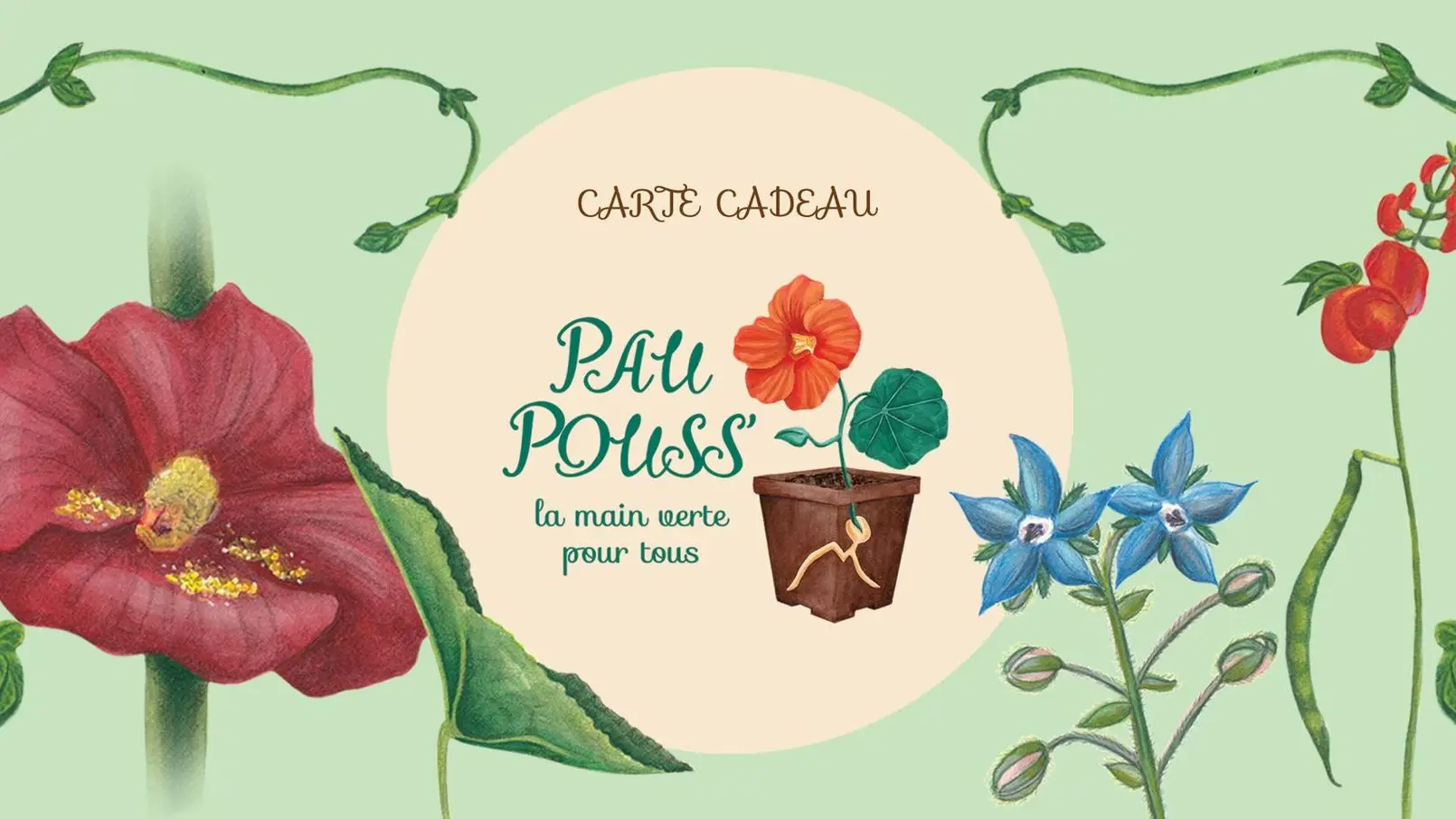 Carte Cadeau PauPouss' de 75€