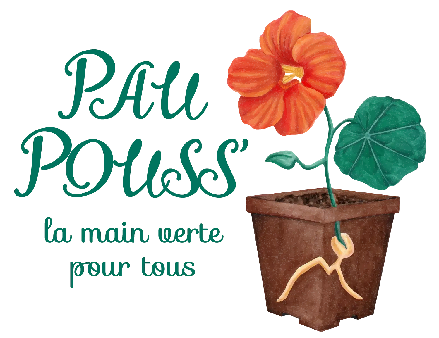Paupouss